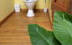 Flinders Chase Farm Stay Hostel - thumb 5