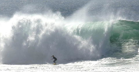 Refuge Cove On Pittwater - C Tourism 1