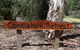 Candlebark Retreat - thumb 6
