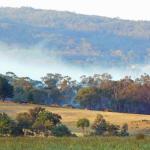 Guys Forest VIC C Tourism