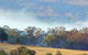 Candlebark Retreat - thumb 0