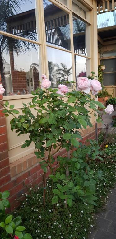 Oxford Rise Apartment - C Tourism 5