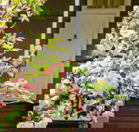 Apple Blossom Cottage - C Tourism