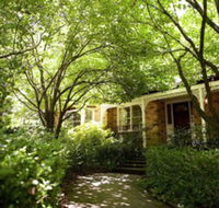 Leura Camellias - C Tourism