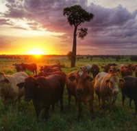 Myella Farm Stay - C Tourism