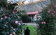 Mystic View Cottage Wandiligong - thumb 0