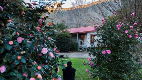 Mystic View Cottage Wandiligong - C Tourism 0