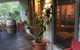 Mystic View Cottage Wandiligong - thumb 6