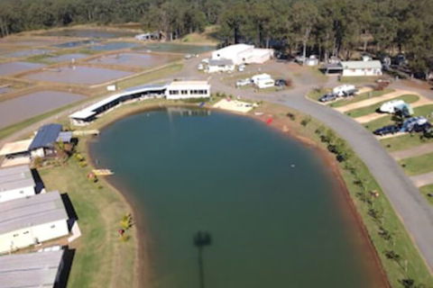 Australian Motor Homes Tourist Park - C Tourism 2