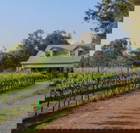 Emmas Cottage Vineyard - C Tourism