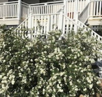 Glen Aplin Gardens BB - C Tourism