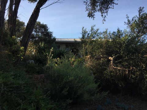 Andrews On Topaz - C Tourism 2