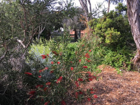 Andrews On Topaz - C Tourism 6