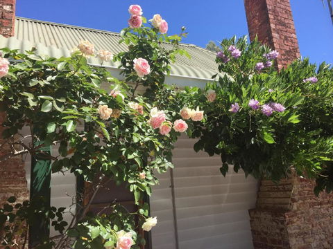 Birchwood Cottage - C Tourism 3