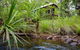 El Questro The Station - thumb 0