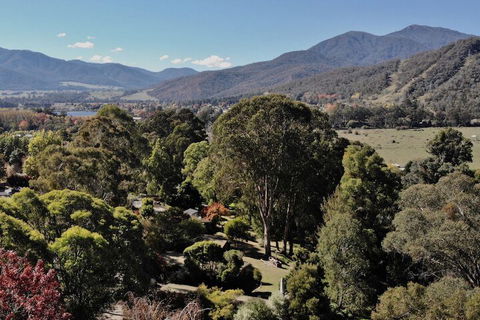 Kiewa Country Cottages - C Tourism 2