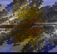 Forest Rise - C Tourism