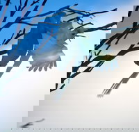 Tenterfield Cottage Holiday House - C Tourism