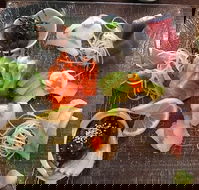 Toshi's Japanese Restaurant - C Tourism