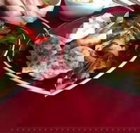 GalanGal - C Tourism