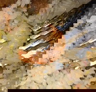 Oriental Jade Restaurant - C Tourism