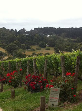 Paringa Estate - C Tourism 0