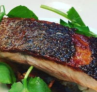 The Shaggy Cow - C Tourism