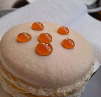 Yellow Bernard - C Tourism