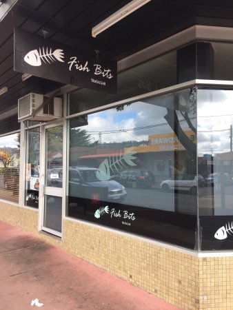 Fish Bits - C Tourism 0