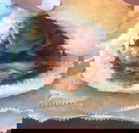 Avenel Cafe - C Tourism