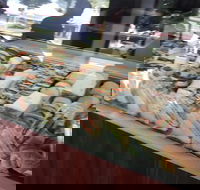 Camperdown Bakery - C Tourism