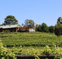 djinta djinta Winery - C Tourism