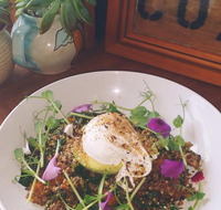 The Shak Organic Cafe  Wine Bar - C Tourism