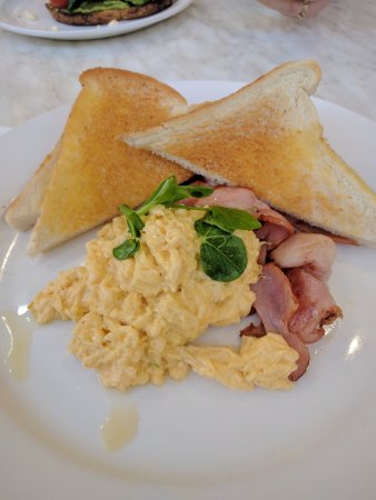 Cafe Gatoni - C Tourism 0