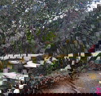 Leonies Little Tree Cafe - C Tourism