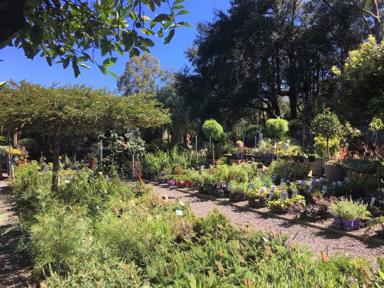 Yatte Yattah NSW C Tourism