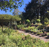 Yatte Yattah Nursery  Cafe - C Tourism