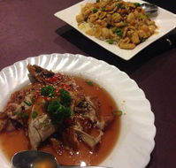 Royal Garden Wagga - C Tourism