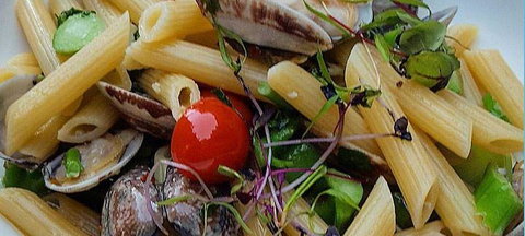 Jannat Authentic Indian Restaurant - C Tourism 13