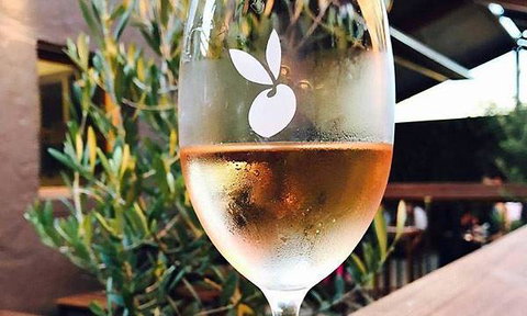 Jannat Authentic Indian Restaurant - C Tourism 15