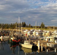Horse  Camel - C Tourism