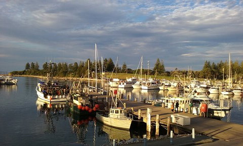 Horse & Camel - C Tourism 0