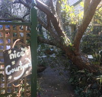 John and Willys - C Tourism