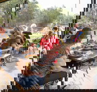 Redgums on PS Emmylou - C Tourism