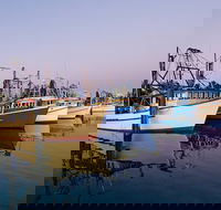 Clarence River Fishermen's Co-Operative - C Tourism