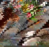 Dusty Beans Cafe - C Tourism