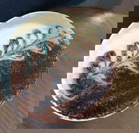 Gloria Jeans - C Tourism