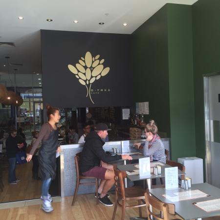 G Tree Cafe - C Tourism 0