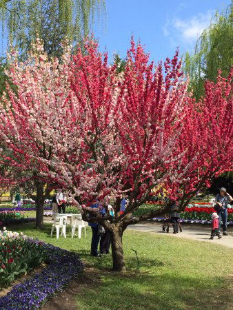 Ngunnawal ACT C Tourism