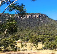 The Lolly Bug - C Tourism